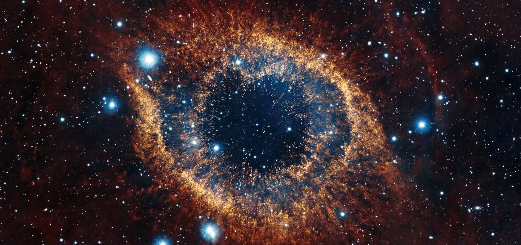 cosmos